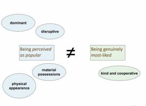 being popular at school