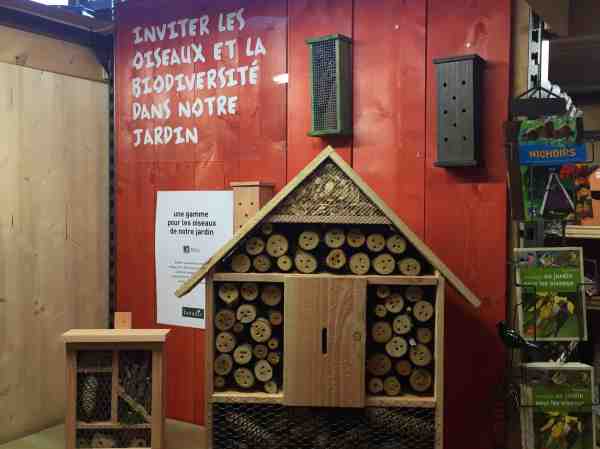 les oiseaux dans le jardin