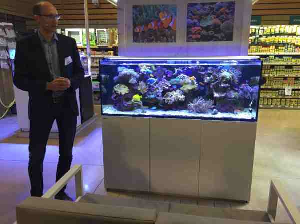 regarde les poissons !