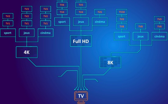 arbre de décision soyooz.jpeg
