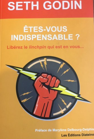 linchpin seth godin